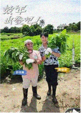 午夜电影福利观察综艺熬夜观察室海报